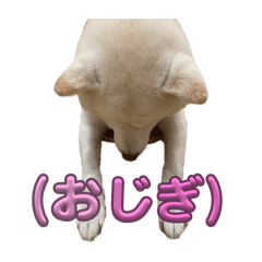 Yamagen_20260101082121