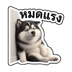 ioonanooi_20260101011147