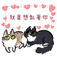 貓言貓語-訊息貼圖