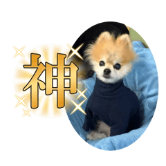 KINOSHITA_20251231235155