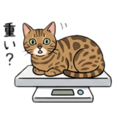 DonGabacho_20251231213743