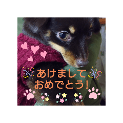 ottoto_20260101072659