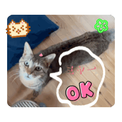 emmakanpon122039_20260101121844