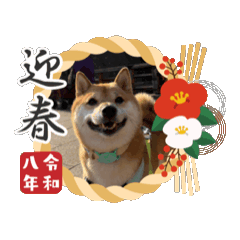 kotetsu_20260101120120