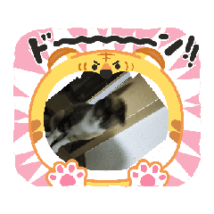 mkmkm_20260101122339