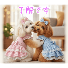 PAKAMOGOLY_20251231004848