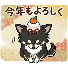 wkck0124_20251231222218