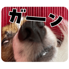 sinpson_20251231221207