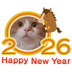 _____.ngr_20251231222558