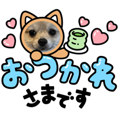 BOSSkun_20251231222544