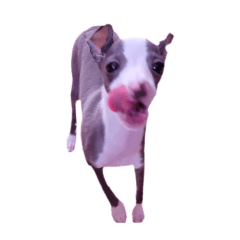 mitsuko_20251231222731