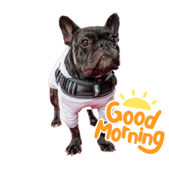 honoka_20260101114458