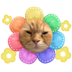 Kinapiro_20260101114545