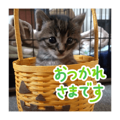 Haruka_20260101114227