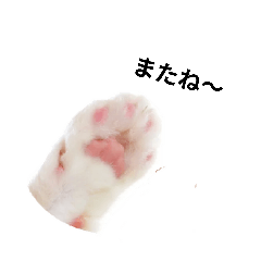 sachiyo_20260101113658