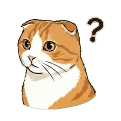 Chachamaru cat part1