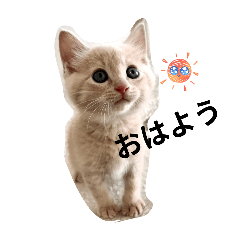 @u-sa-_20260101114157