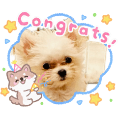 kotaro_20260101115944