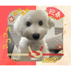 BOWWOW_20260101122737