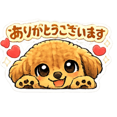 Tommy_20260101122409