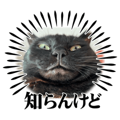 Nerolincho_20260101122607