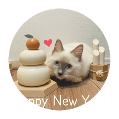 omochi_20260101123118