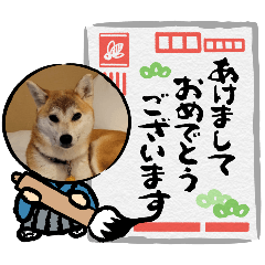 HidaZuppy_20251230233033