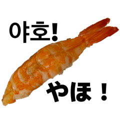 Chiaki Miyake_20251230223613