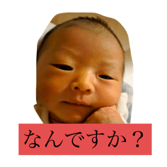 karubin_20260101005902