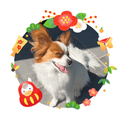 maichaso_20260101010002