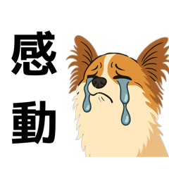 ayapon_20260101125011