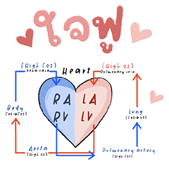 Biology Classroom Chit Chat