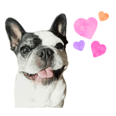 Yaegashi Mari_20260101124637