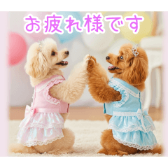 PAKAMOGOLY_20251231004536