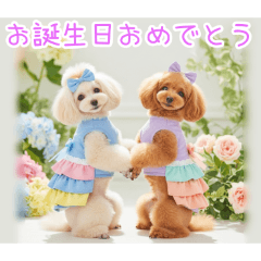 PAKAMOGOLY_20251231004104