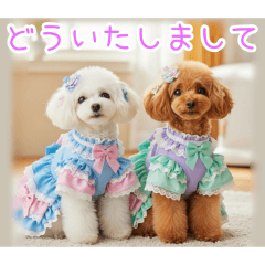 PAKAMOGOLY_20251231004150