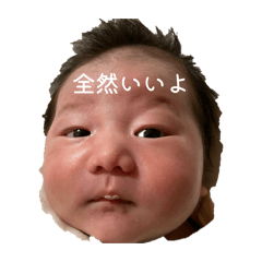 nature_20260101024621