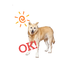 Chackkilin_20260101022736