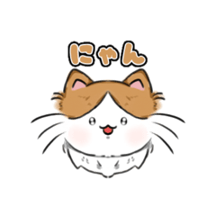 This is what my cat looks like today