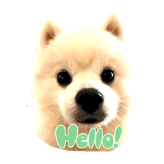 Rimron_20260101023331