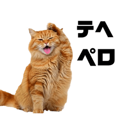 tentoto_20260101025205