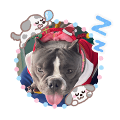 Sirilak_20260101105352