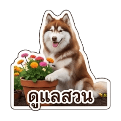 ioonanooi_20260101114206