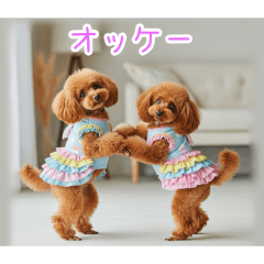 PAKAMOGOLY_20251231005010