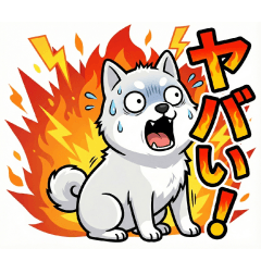 Wild & Crazy Shiba Inu: Daily Life