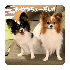 poponchi LINE stickers & emoji | LINE STORE