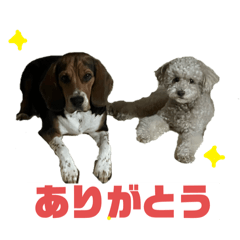 Karin_20251231192053