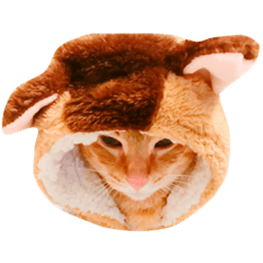 Orangee