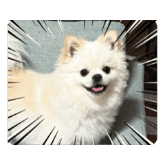 rikapuriko_20251231195754