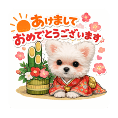 kotaro_20251231204019